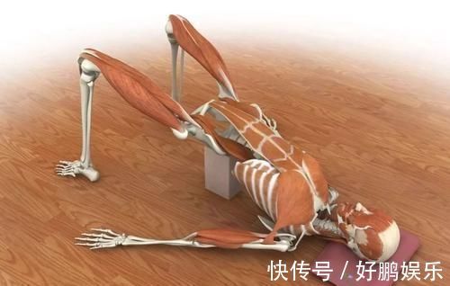 驼背|优美后弯背部僵硬也可达成瑜伽支撑桥式帮你舒服后弯纠正驼背