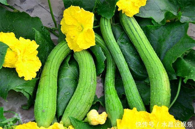 人到中年|人到中年,推荐多吃3种蔬菜,能提神醒脑,延缓衰老,美容养颜