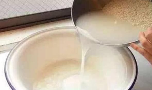 家庭养花，慎用淘米水，掌握正确方法才能远离土壤结块的负面影响