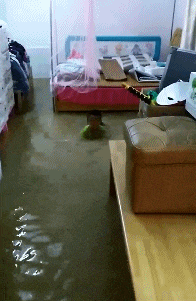 |搞笑GIF:为了宝宝健康的成长,这也是花费很大