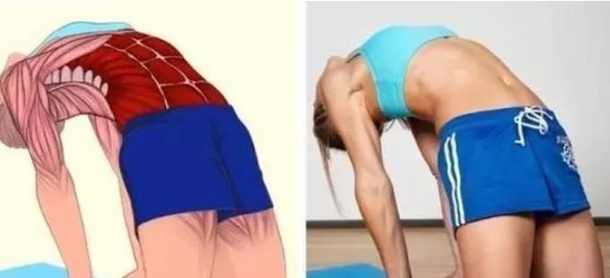 强身健体|全身拉筋3D图解，一步到位，在家也能强身健体