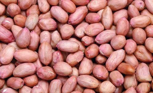 聪明的人最爱吃3种食物,补血养颜、延缓衰老,谁吃谁受益!