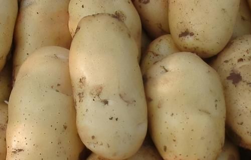 食物|养生不可少的食物,坚持常吃 ,滋补身体,排毒抗衰,更显年轻