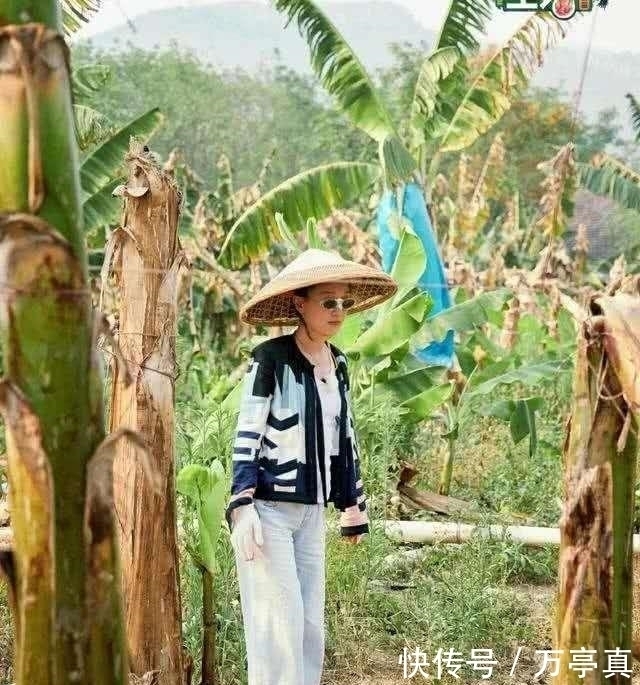 嘉賓 《向往的生活》最樸實嘉賓穿百十塊某寶同款外套全程干活圈粉無數(shù)