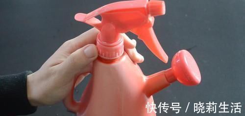 擦玻璃别用水了,教你用一秘招,擦完的玻璃光亮如新,方法太棒了