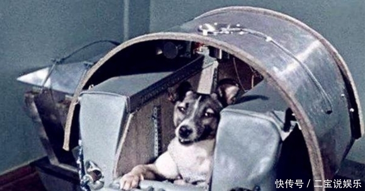 苏联曾把一只3岁狗狗送去太空，63年过去，它还在地球轨道流浪