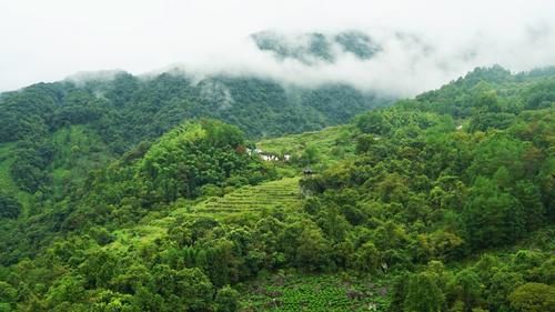 老年|安徽最有望成为下一个5A的景区，山岳风光秀美绮丽，风景不输黄山