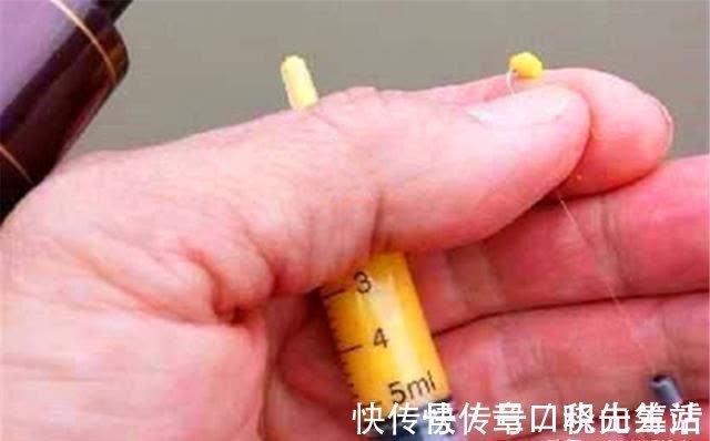 春钓大板鲫,民间这两种钓法最优秀,钓大鲫鱼更容易