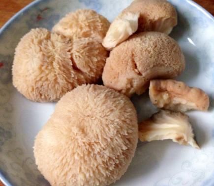 异食癖|还在抱怨孩子缺锌难发现吗？或是因为你没留意到这些