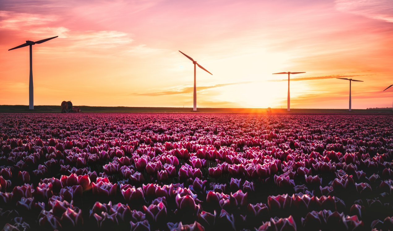 小便宜|藏得住事,管得住嘴,守得住底线的星座,不贪小便宜,城府深厚