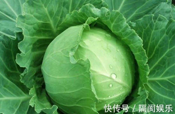 卷心菜|卷心菜和一宝搭配吃,预防感冒,保肝护肝,现在知道还不算晚