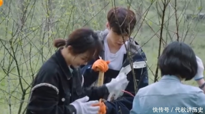 杨紫|张艺兴节目硬核辟谣,一见杨紫就喊“绯闻女友”,差点把她干回家