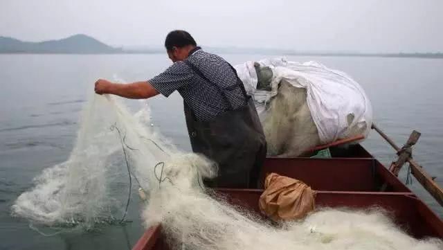 这五种人是“无知”还是“无耻”?钓鱼人看在眼里,急在心里