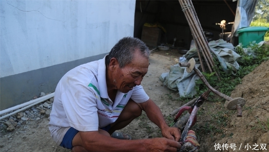  杂技|猴在我在“杂技之乡”的7旬训猴老汉与猴同吃住终生未娶