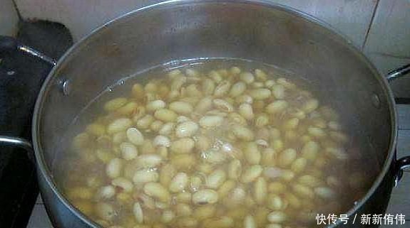 枝干|大神养金枝玉叶,每月喂上“1碗汤”,枝粗叶绿,2年成高价老桩