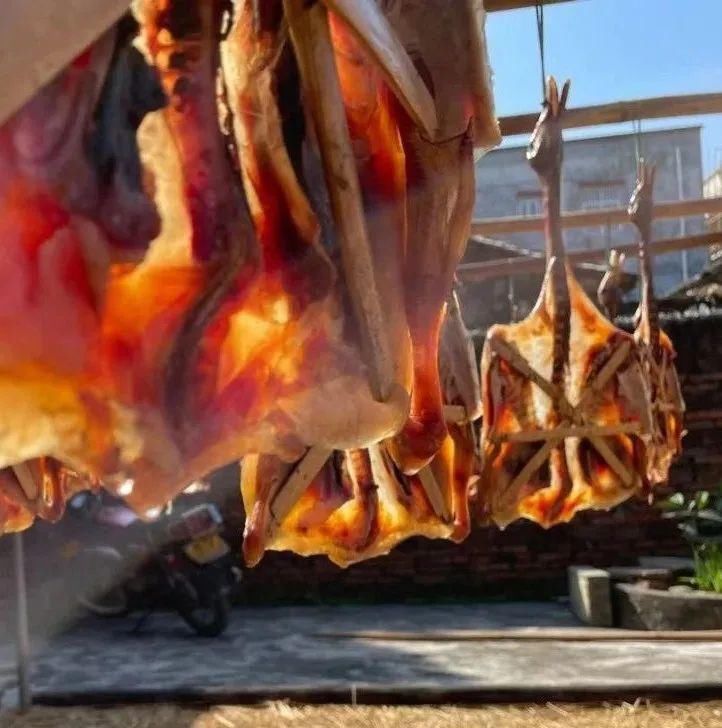  场面|阳江的“名场面”来了！