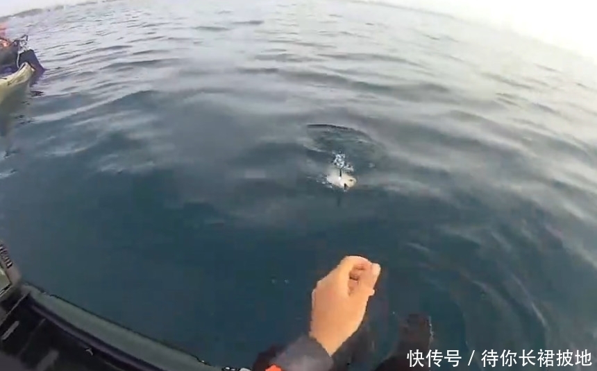 没想到|男子钓鱼时沉醉于美景,没想到收获这样的喜人大家伙!