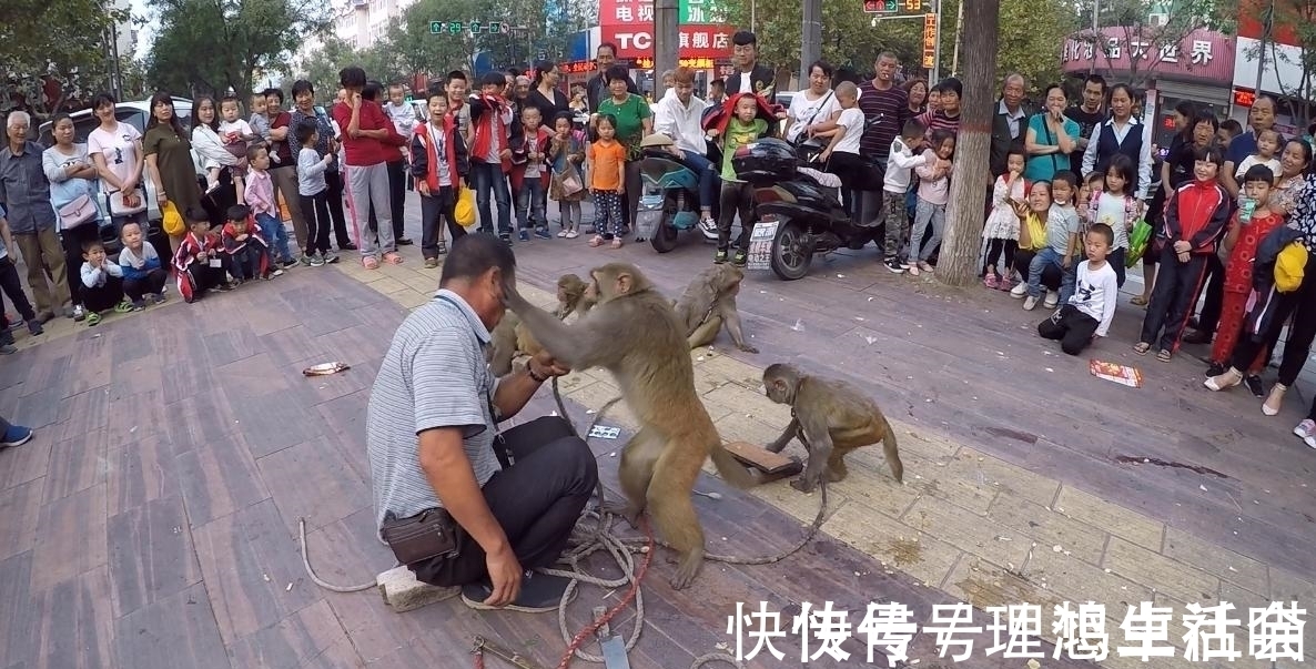 四书@《红楼梦》：“暖香坞雅制春灯谜”众人所制的灯谜详解