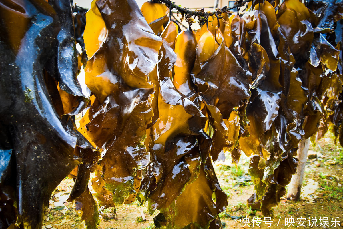 排毒|海带绝对是排毒王,但千万不能和它一起吃,很多人还傻傻的在吃!