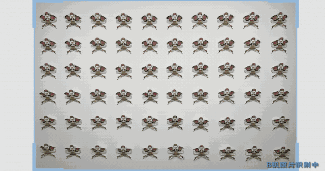 再现“水哥”名场面！鬼才之眼PK毫米级微雕，极客版最强大脑来了