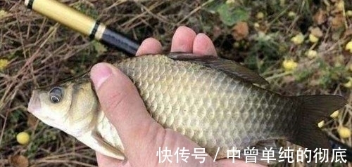 冬季野钓口诀知多少