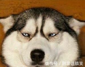 |开心笑话,岳父大人偷偷拿家里钱打麻将输了