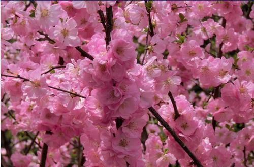 吃穿无所谓，但喜欢用化妆品的中年女人，是怎么想的？