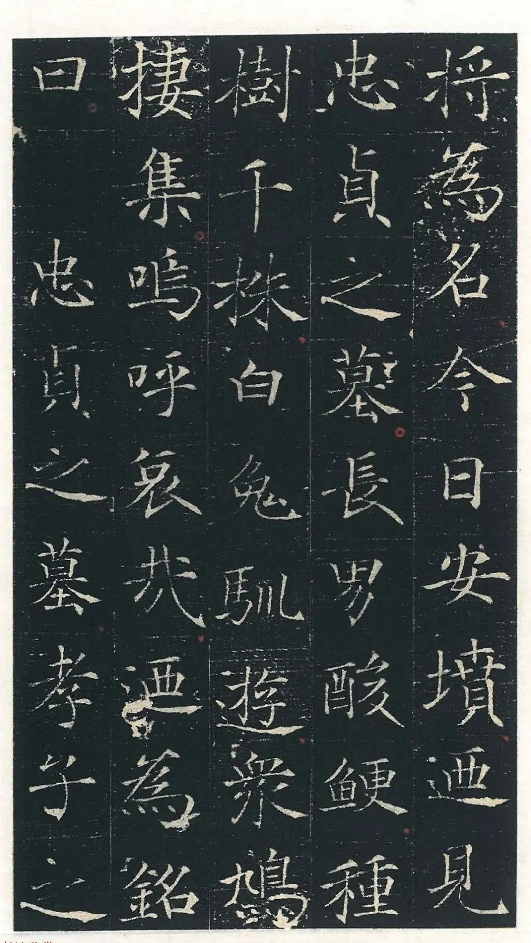 重磅:新出土的楷书预计要改变中国书法史