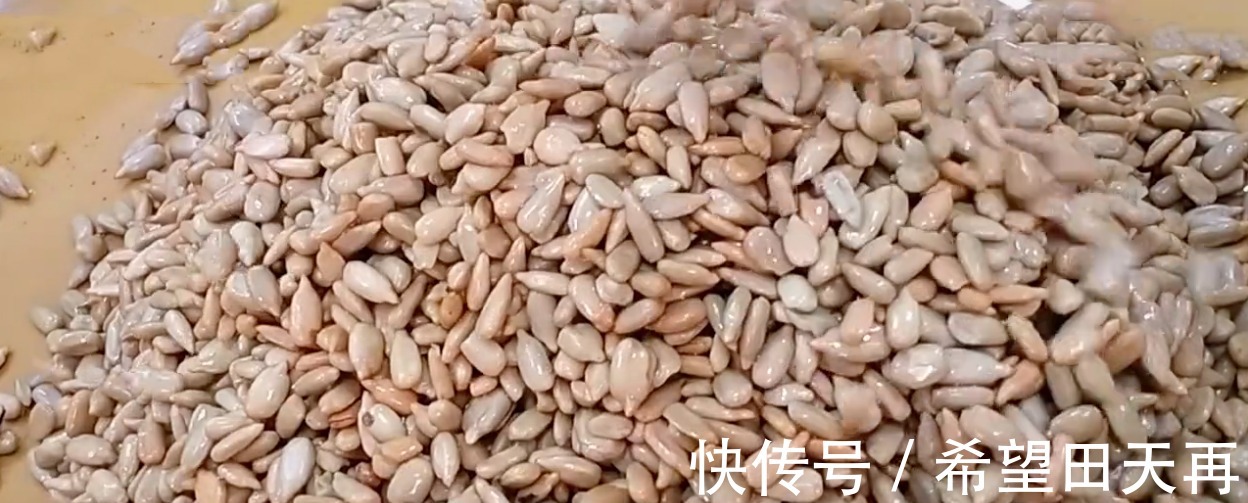 板栗|秋季忌寒忌燥,有12种“秋果”要多吃,润肺健脾胃,应季而食滋补!