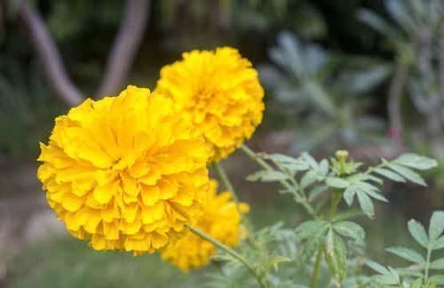 贵人|未来三个月,4属相财运顺畅,贵人相助,业绩节节攀升,生活幸福