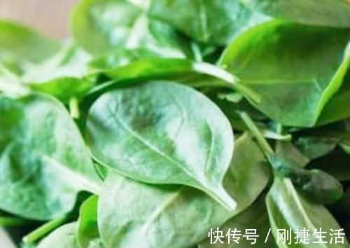 杀菌消炎|幽门螺杆菌“害怕”6种食物,每天吃一些,杀菌消炎,修复胃黏膜