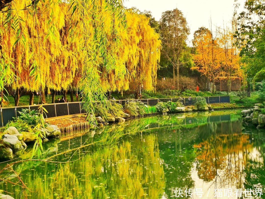 这样的成都浣花溪公园你见过吗？随手一拍皆是美景