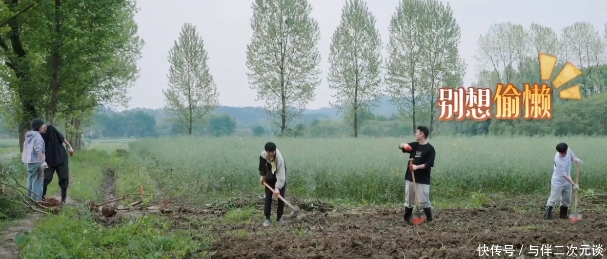 制造|陈赫和李诞怎么了,努力制造节目效果,反而引起何炅与黄磊的反感