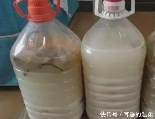 渣滓|什么果皮渣、大豆渣,都不如这种“渣滓”,盆里埋一点养啥都旺