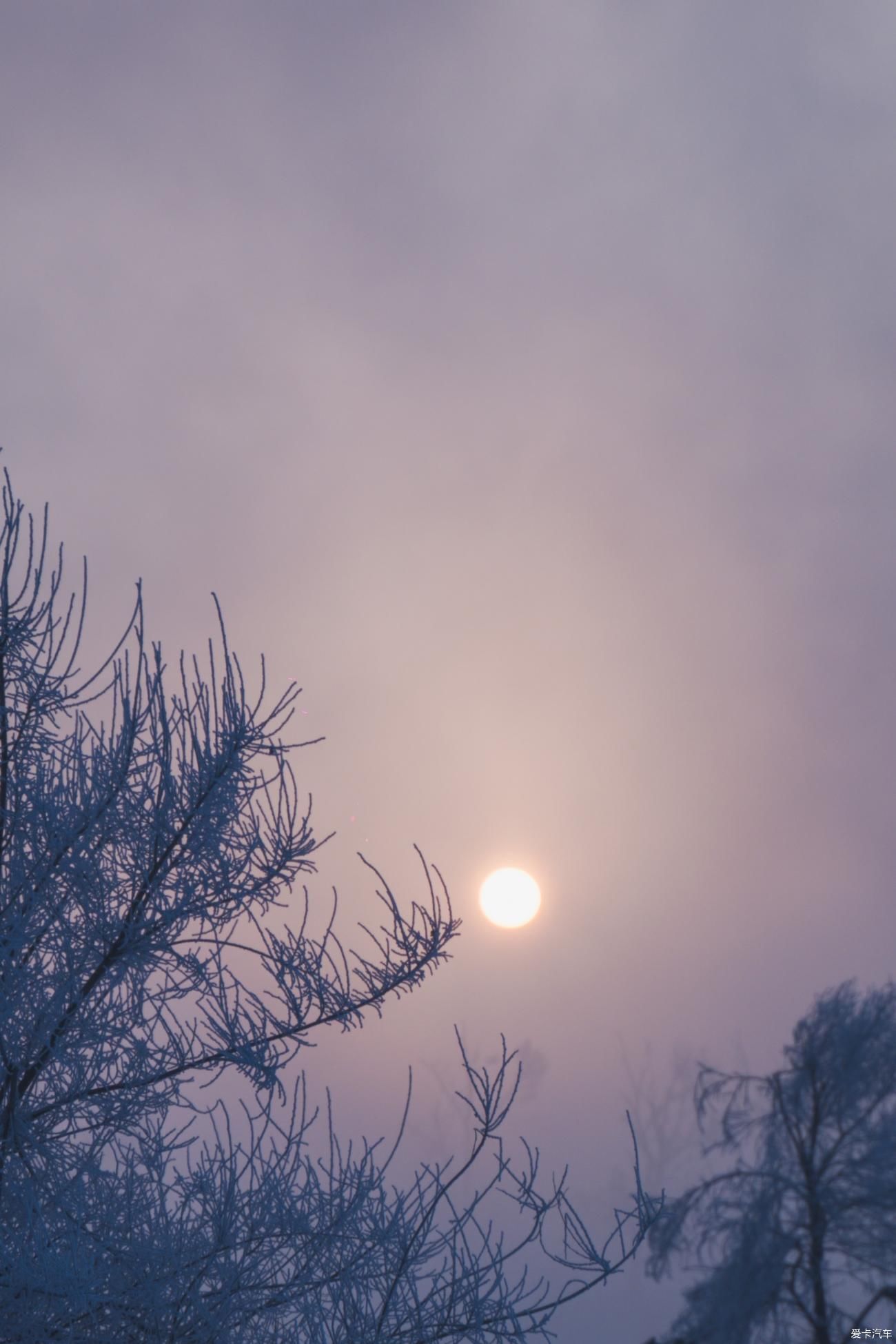 老年|在寂静雪原 遇见雪花真实的形状