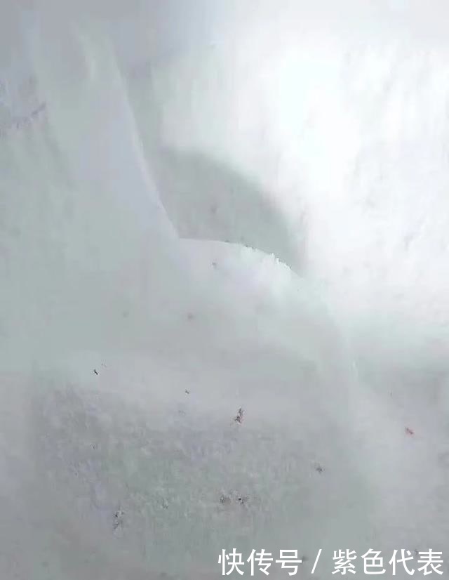 家里养花,4种自制“杀虫水”喷一喷,虫子杀光光,花儿越养越旺