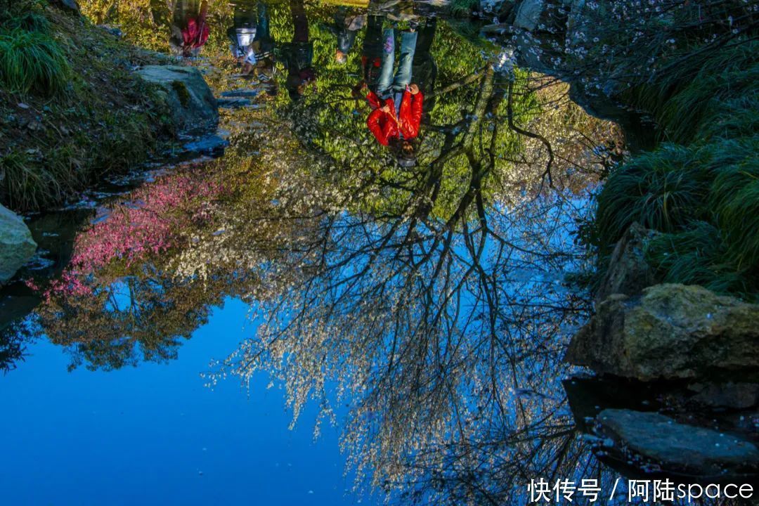 老年|阳春三月，最美不过“水中花”，这样的风景你注意过吗？