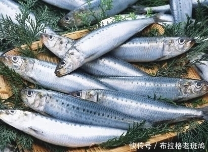 食物|血管堵塞不用慌,多吃几种“换血”食物,血管通畅更有弹性