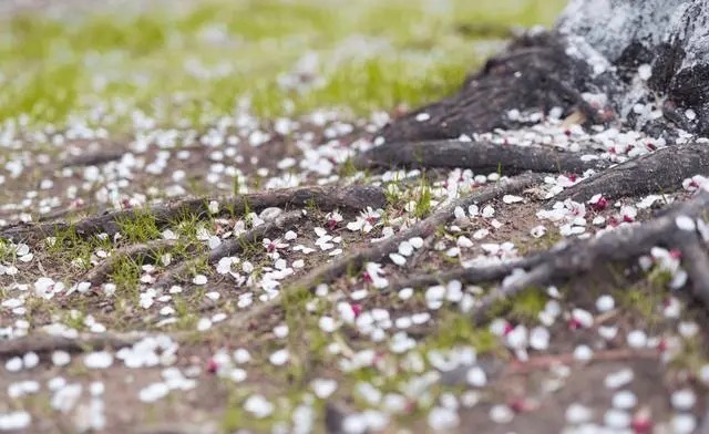 搞笑|一针见血的16条歇后语,搞笑幽默,精辟到噎人