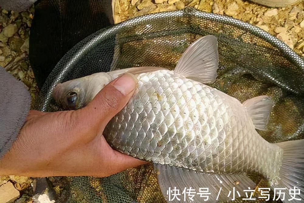 别埋怨自己钓不到鱼了,学会这三个技巧,提高渔获不再难