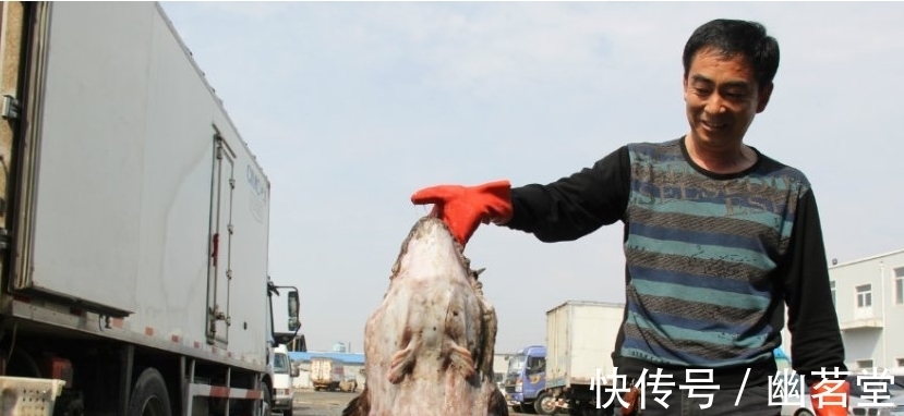 收获|男子收获一条像癞蛤蟆的怪鱼,发现鱼嘴合不上,掰开看后乐了