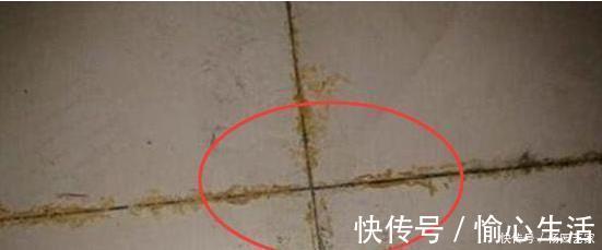 榻榻米|新房装修水深似海，毁了一套房的过来人告诉你，这16条坑别去碰