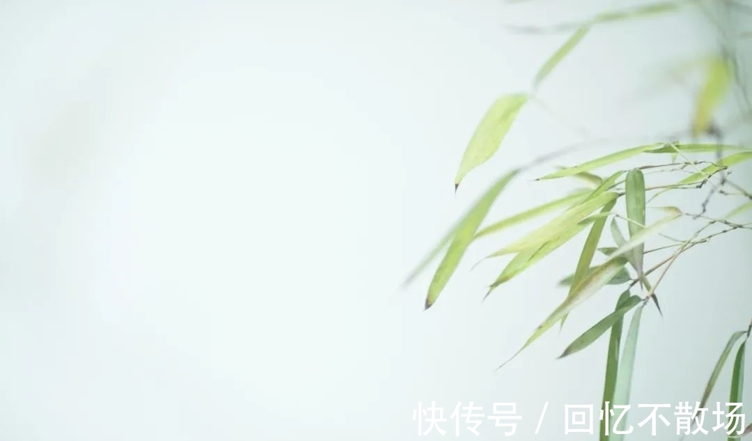 春夜!10首意境优美的小诗,美了眼,醉了心,惊艳了时光