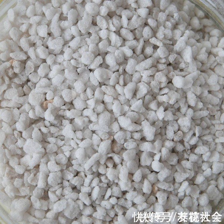 养花土里加上这5种颗粒,透气透水效果好,养花再也不烂根