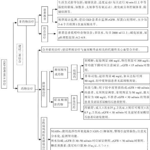 痛风性肾病|尿酸高影响肾功能吗？医生：痛风患者请做好十件事，保肾降尿酸