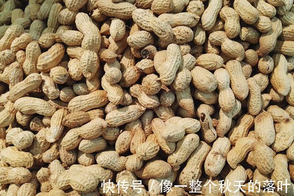 养胃|养生吃补药，不如每天多嚼几粒花生，除了养胃，还有几大好处