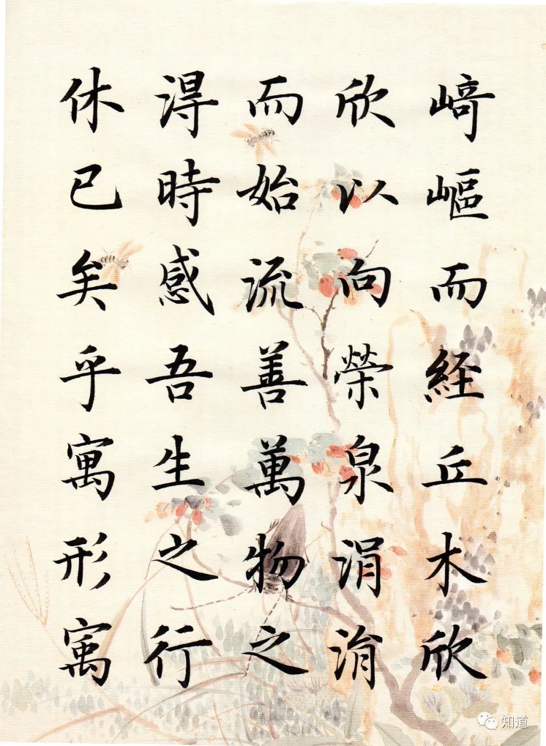 归去来兮辞&书法不可以自学,自学就等于自杀。书法培训老师都这么说