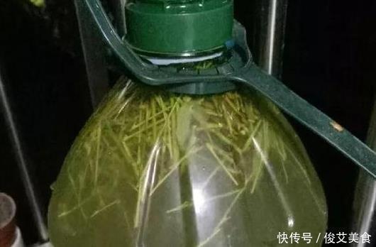 适应能力|这种天然的“生根剂”，给花浇一点根系壮猛发芽，后悔今天才知道