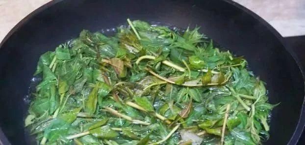 不焯水不能吃的四种蔬菜, 很多人不懂, 吃了肠胃不适