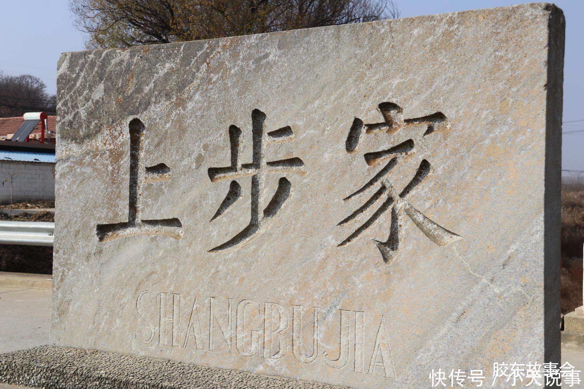 数百年历史的槭树林,见证了“步姓”人在莱阳的繁衍